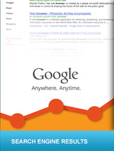 Search Engine Rankings