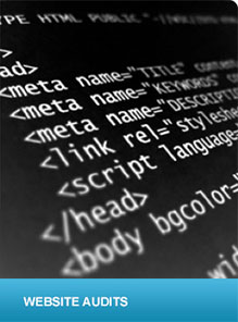 Website Audits